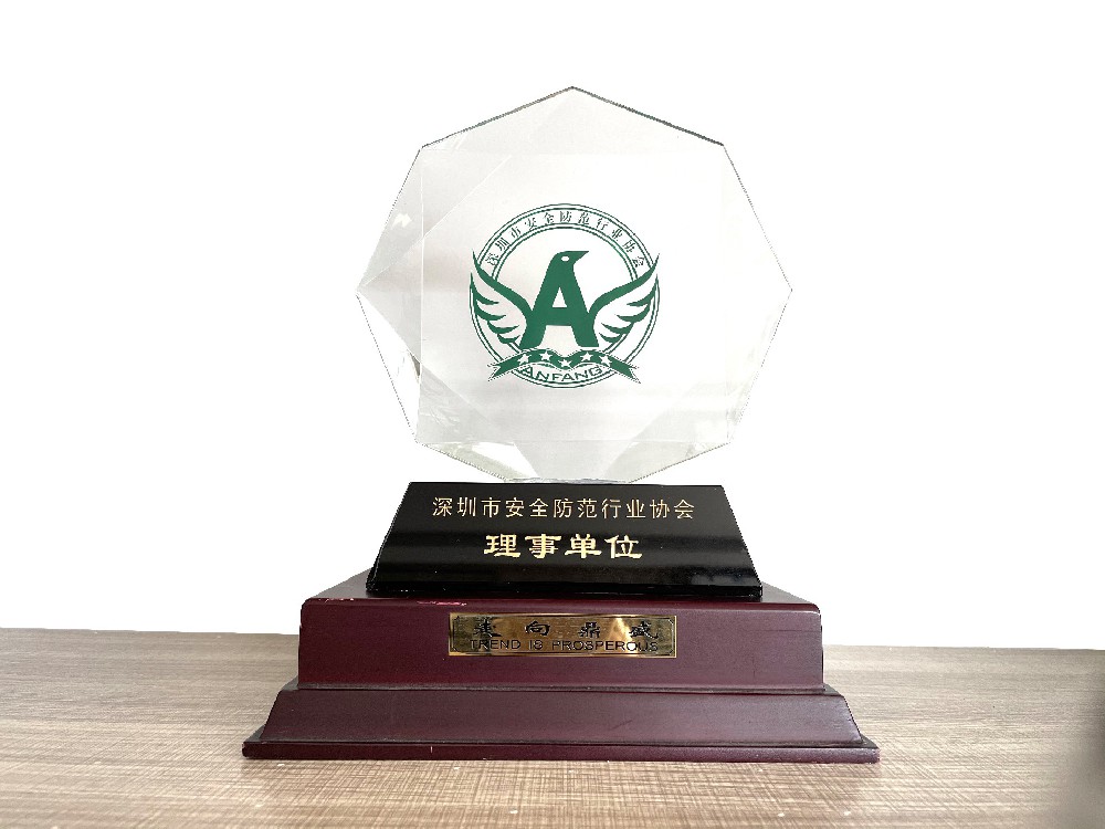 深圳市安全防范行业协会理事单位